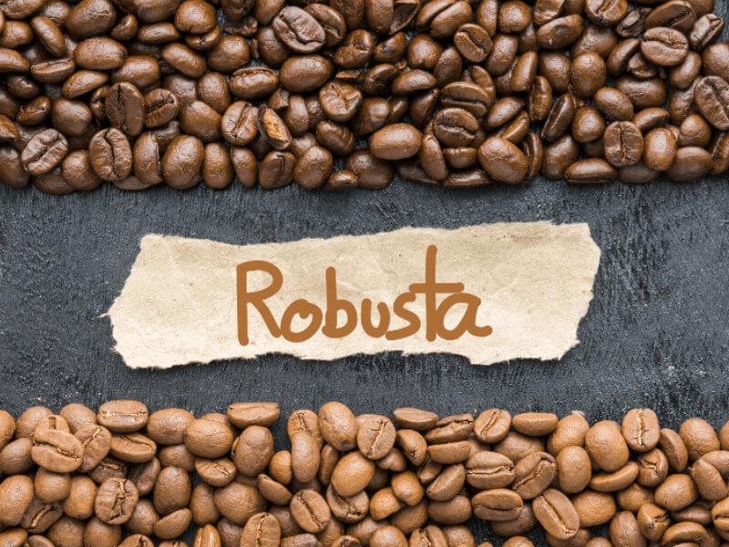 Cách pha cà phê robusta